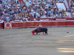 Игры с быком