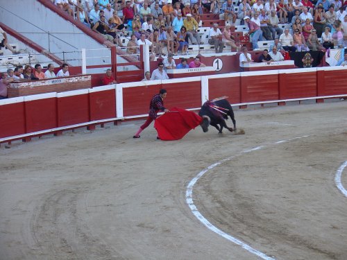 Схватка с быком