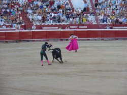 Коррида в Таррагоне