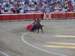 Красная тряпка для быка