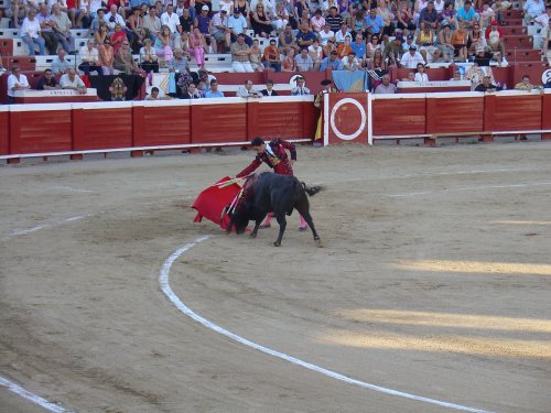 Красная тряпка для быка