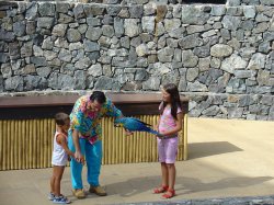 Aves Del Paraiso - шоу с птицами