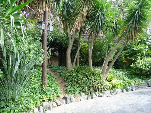 Порт Авентура, пальмы