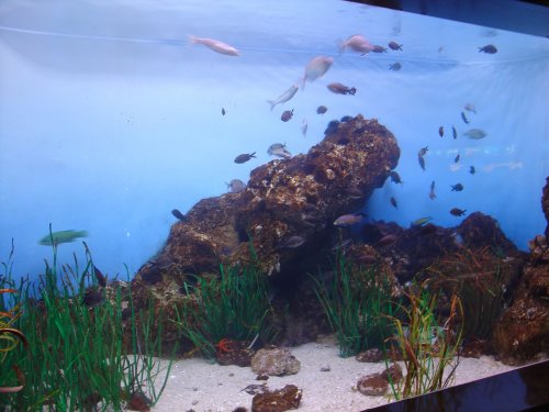 Аквариум в Барселоне