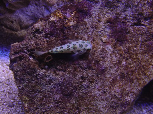 Аквариум в Барселоне