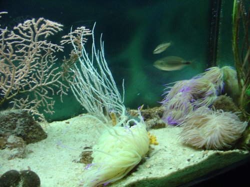 Аквариум в Барселоне