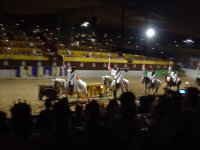 Рыцарский турнир