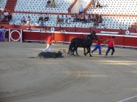 Мясо мертвого быка