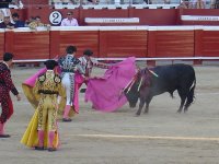 Травля быка