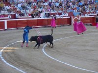 Опасная коррида